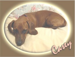 casey10_15