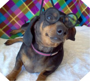 Roxie Glasses