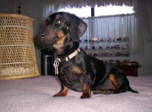 Marty1