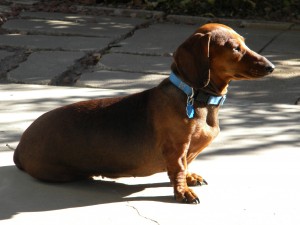 Ruby3
