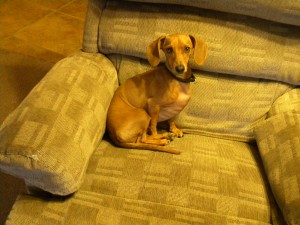 tucker