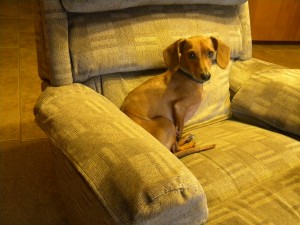 tucker2